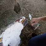Pedrales Orgosolo