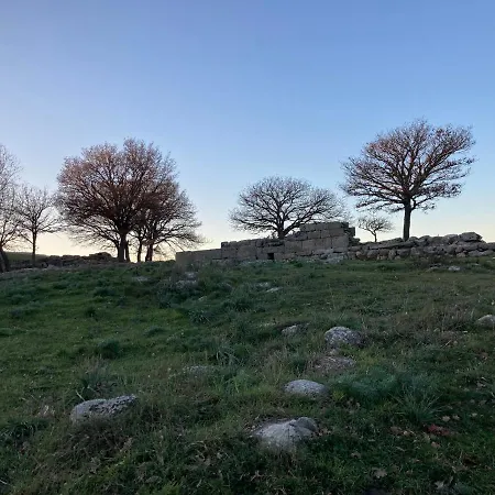 Pedrales Orgosolo